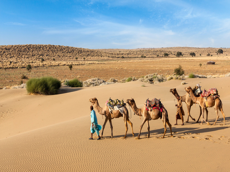 camel_safari_jaisalmer